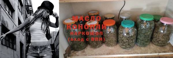 молекула духа Няндома