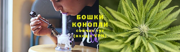 ГАЛЛЮЦИНОГЕННЫЕ ГРИБЫ Алзамай