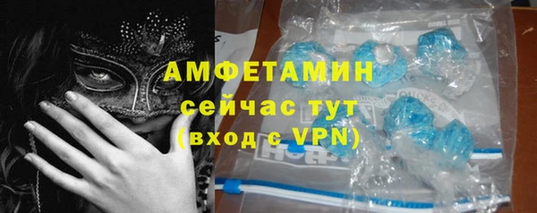 ГАЛЛЮЦИНОГЕННЫЕ ГРИБЫ Алзамай