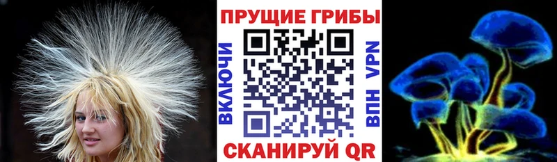 Галлюциногенные грибы Cubensis  Агидель 